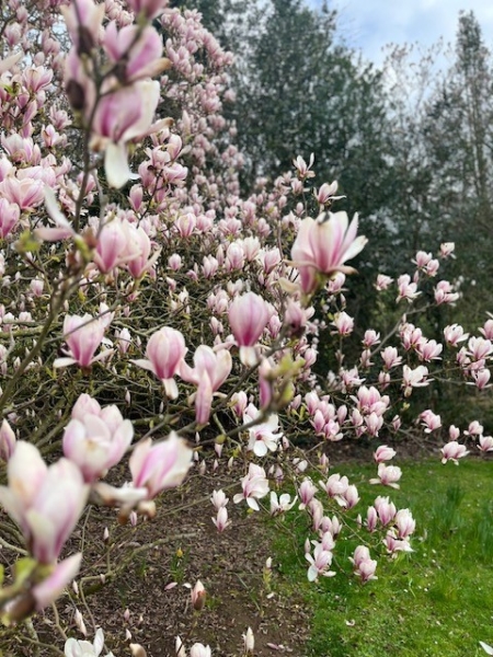 Knolton Hall